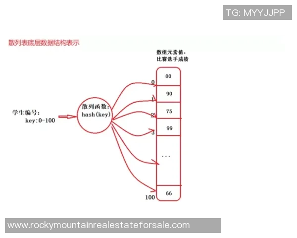 选手训练数据的合理使用与数据隐私伦理的平衡探讨